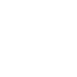 Apple logo download Zylo AI App